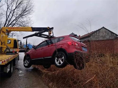 莘县楚雄道路救援